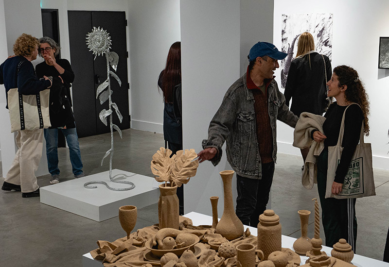 Muestra premio argentino a las artes visuales de fundación OSDE