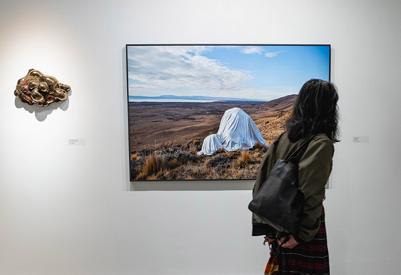 Muestra premio argentino a las artes visuales de fundación OSDE