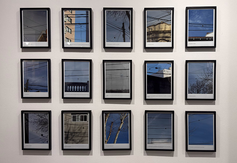 Muestra premio argentino a las artes visuales de fundación OSDE