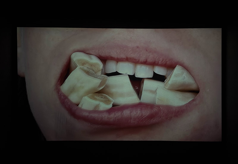 Muestra premio argentino a las artes visuales de fundación OSDE