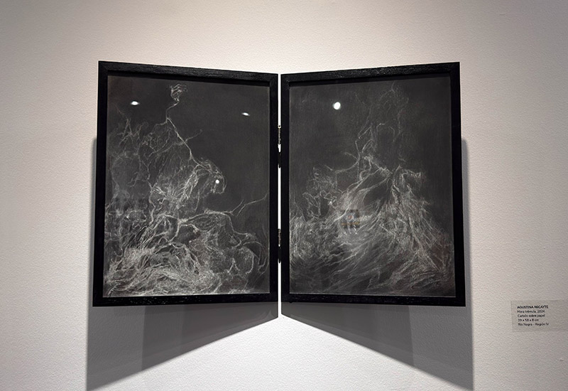 Muestra premio argentino a las artes visuales de fundación OSDE