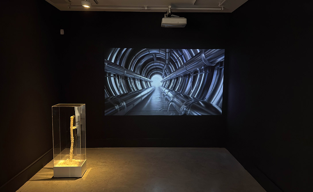 Infraestructura de tiempos latentes de Laura Benech. Premio nacional.